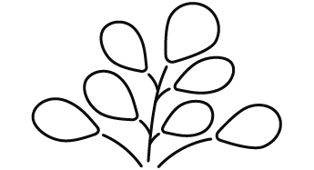 Moringa oleifera Icon