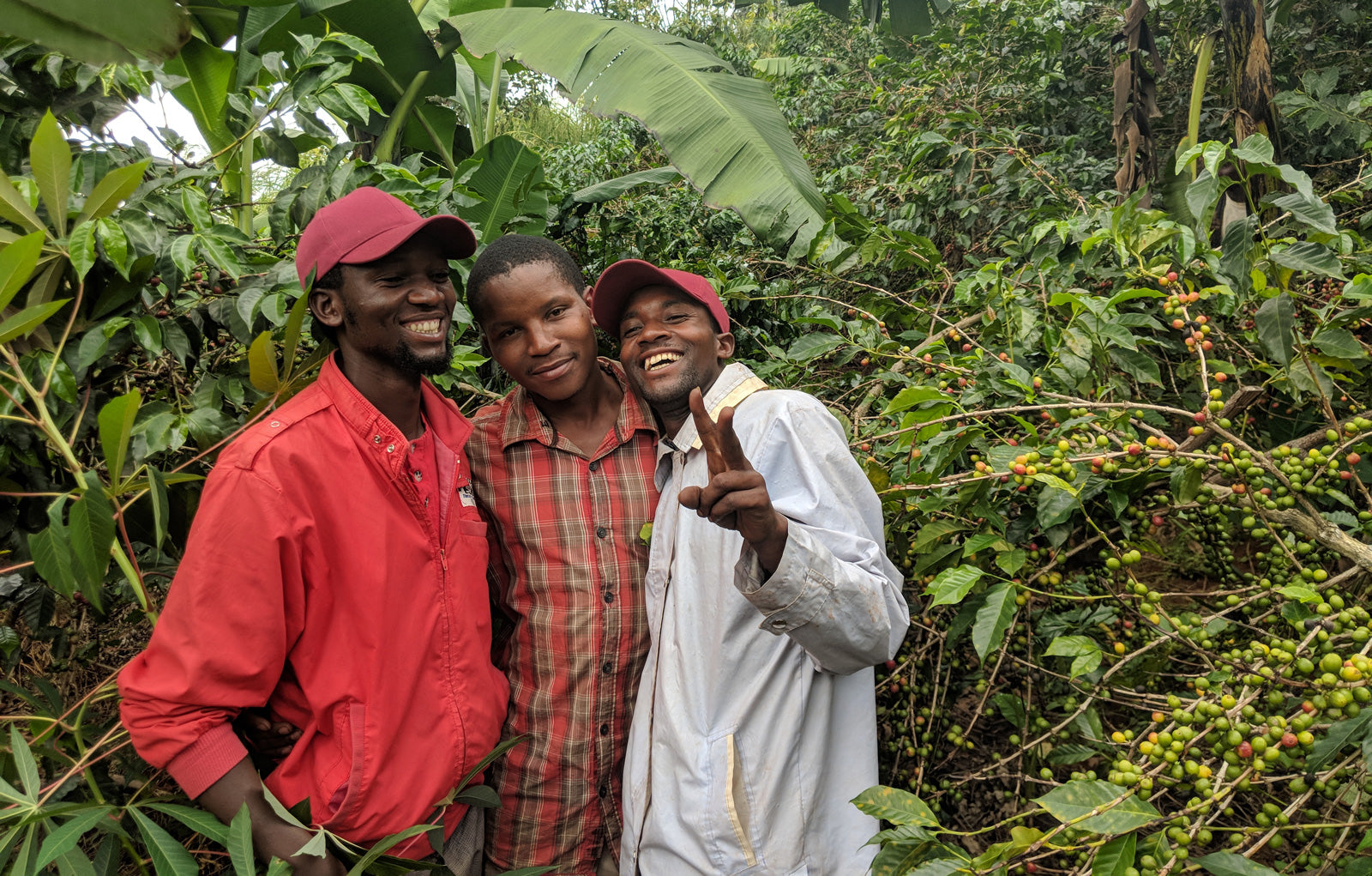 community-coffee-rwanda-specialtycoffee