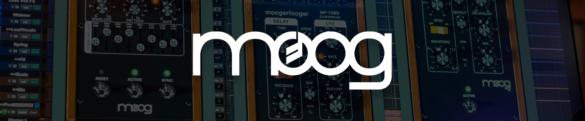 Moog Banner