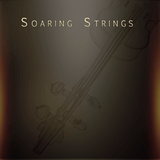 Musical Sampling Soaring Strings