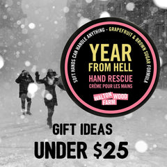 Gift Ideas Under 25 Dollars