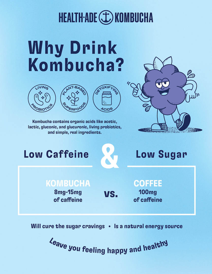 why drink kombucha