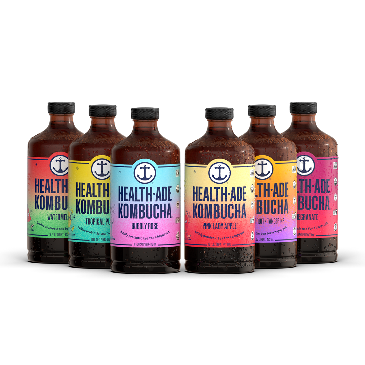 https://cdn.shopify.com/s/files/1/0016/5360/4407/t/54/assets/712ef74f8483--Kombucha-Sampler-NEW-2.png?v=1660752404