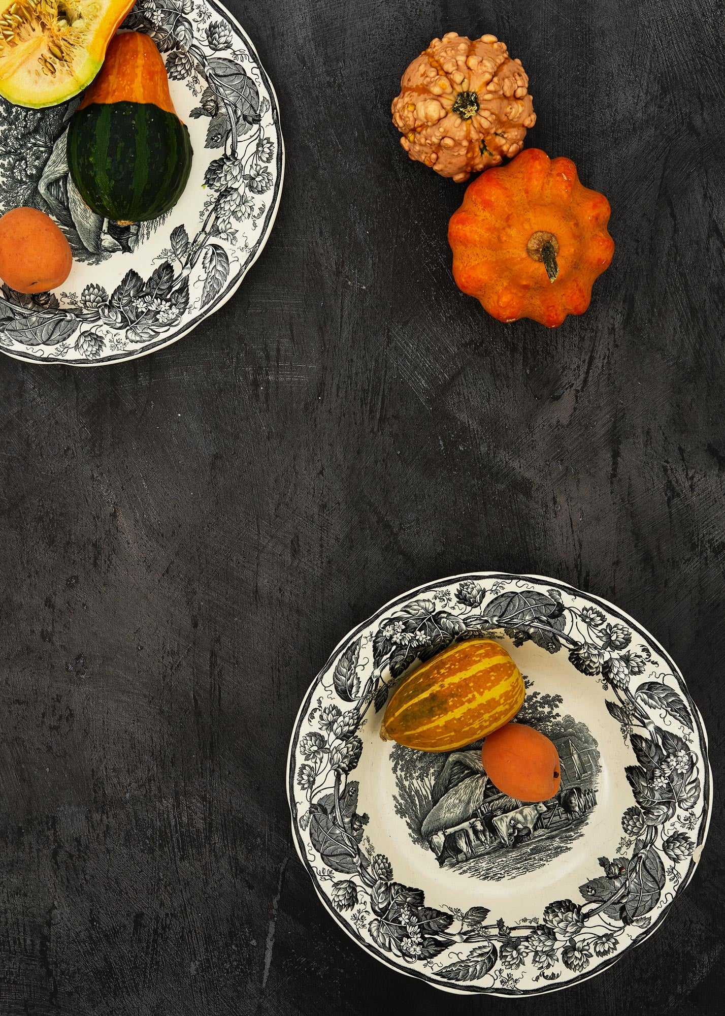 Dark vinyl backdrop used in food photography