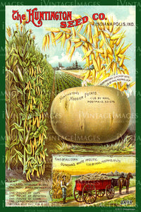 Huntington Vegetables 1895 - 021