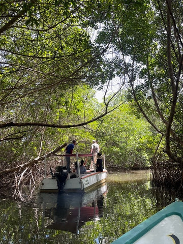 Paseo por la la Laguna de la Restinga