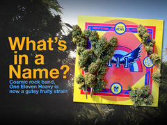 What's in a name? 111 HEavy Strain