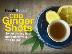 Heads Lifestyle: CBD Ginger Shots