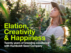 Heads Lifestyle: Humboldt Seed Company