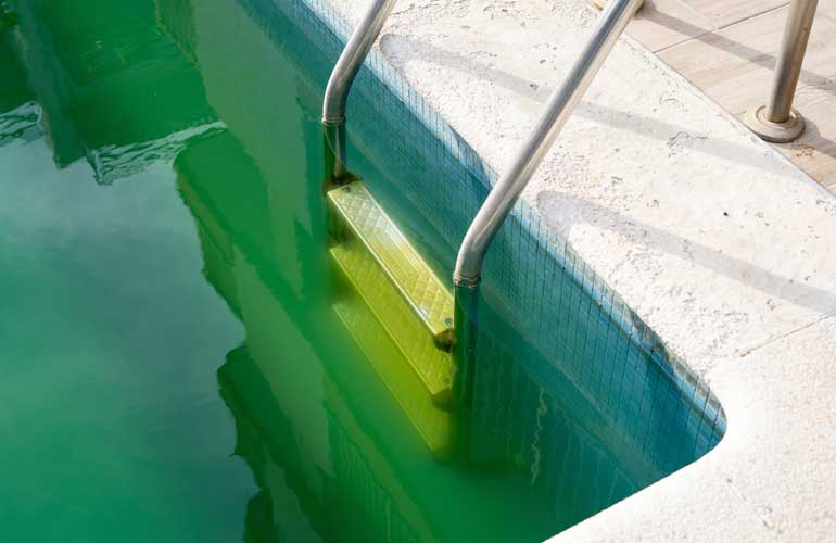 Can You Swim In A Pool With Algae?