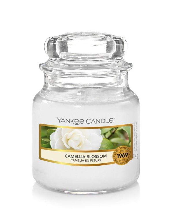 Yankee Candle Spring 2024 - Star Zahara