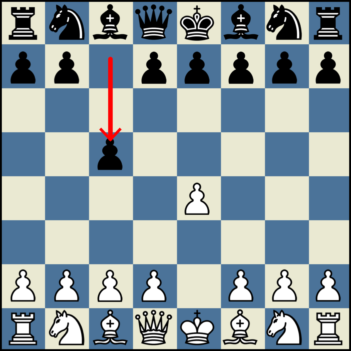 Common Chess Openings You Should Learn