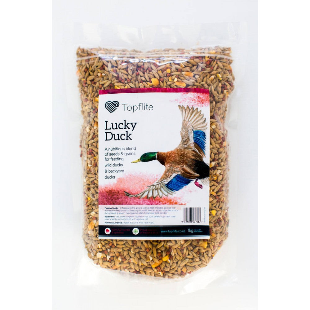 do ducks eat dog food