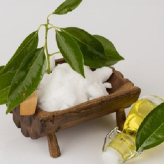 camphor for hair