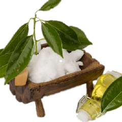 camphor