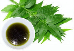 organic neem oil