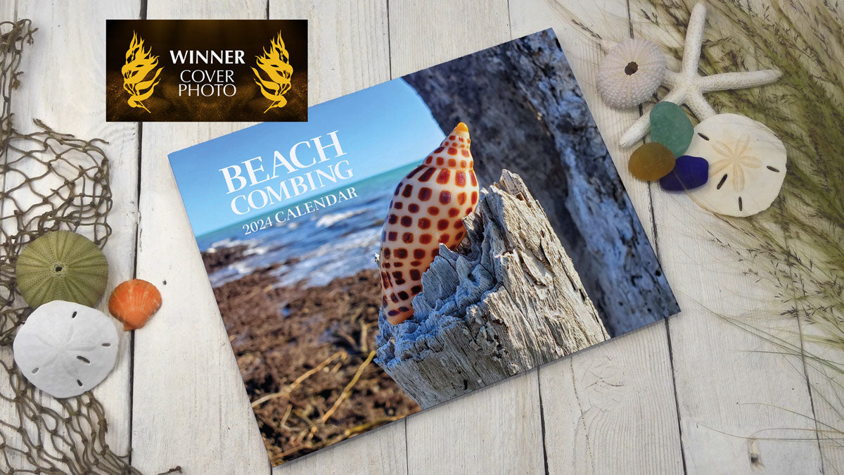 beachcomber calendar cover photo contest winner