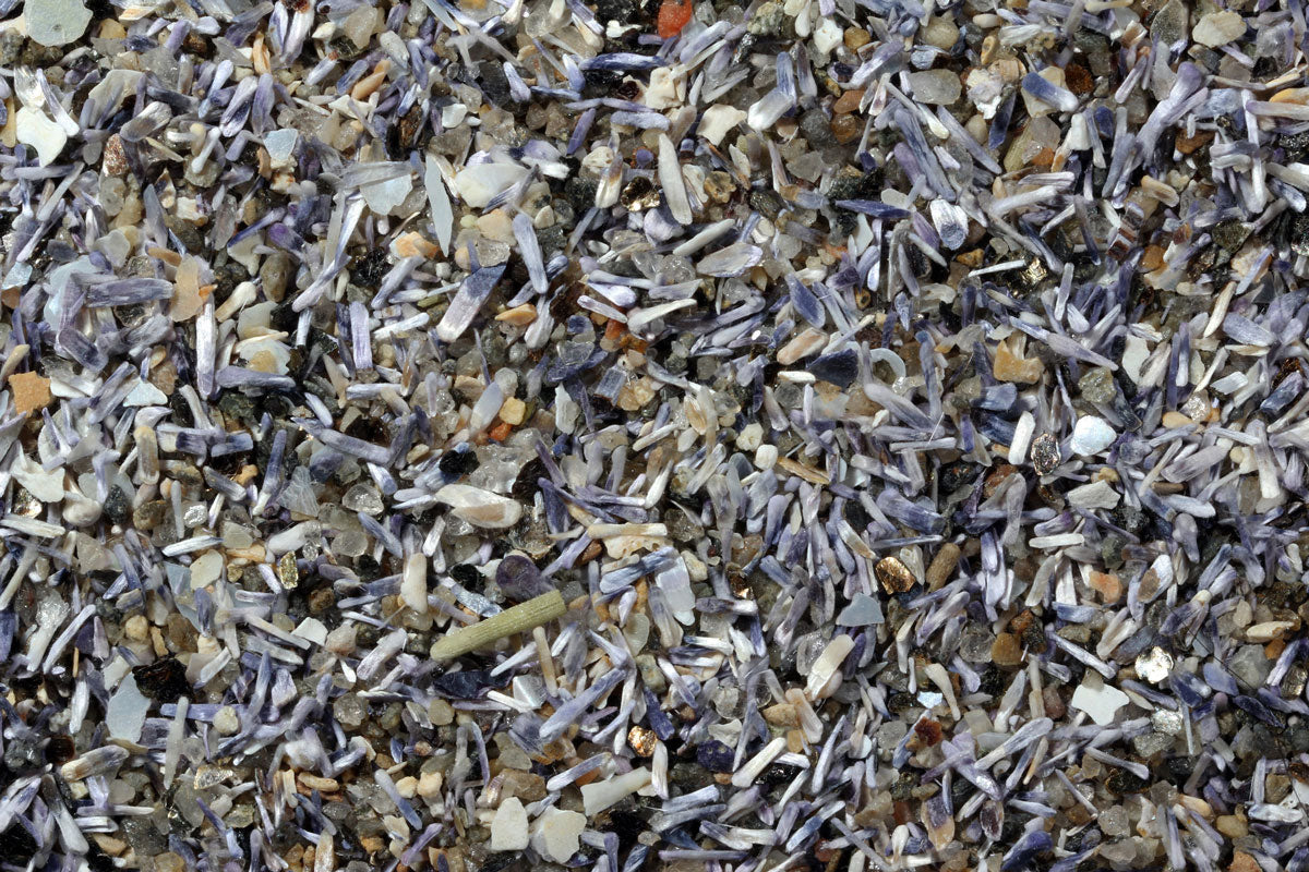 blue beach sand from mussel shells under microscope