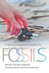 beach fossil guide book