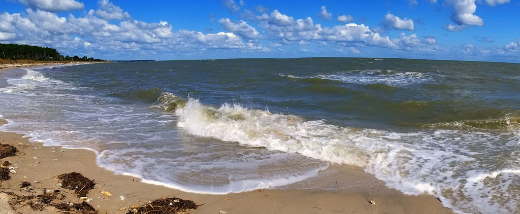 Haven Beach at low tide with winds out of the northeast.