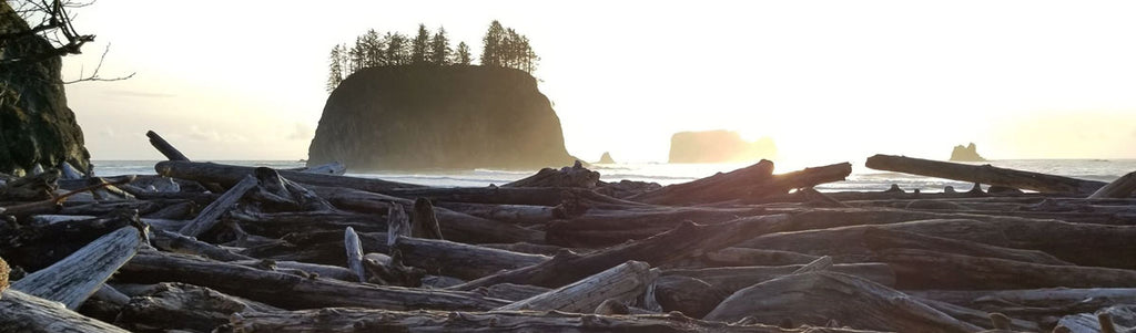 la push washington