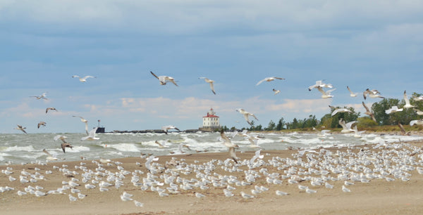 Headlands Beach State Park, Mentor, Ohio