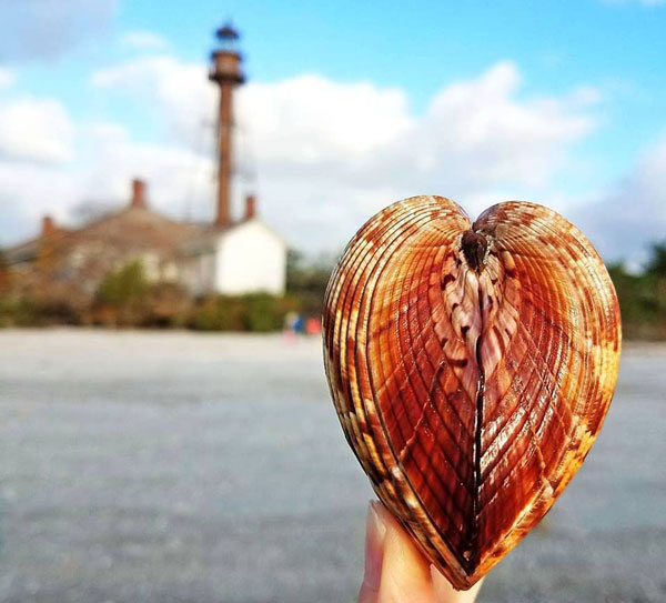 sanibel light house and heart cockle shell