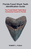 shark tooth fossil hunting beachcombing book