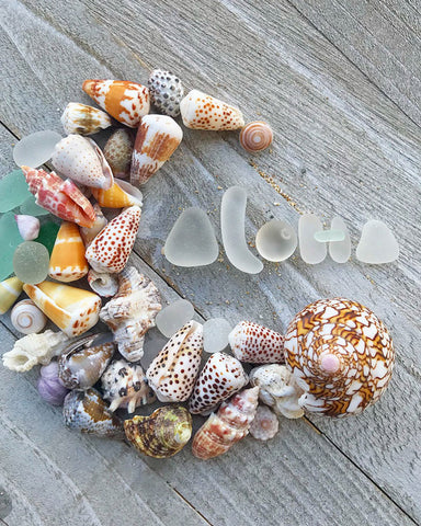 hawaiian shells and sea glass art