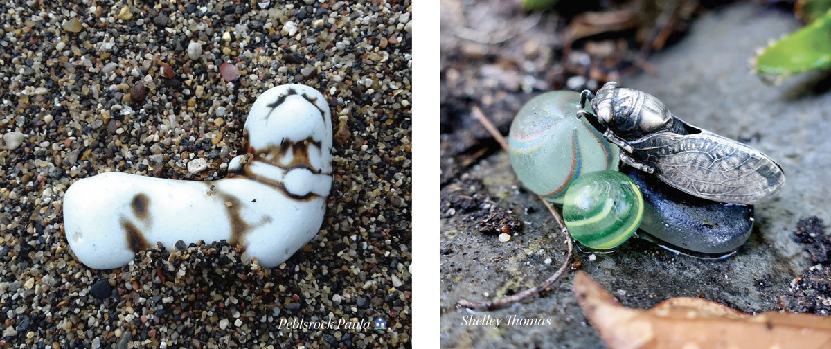 sea pottery dog beach metal bug