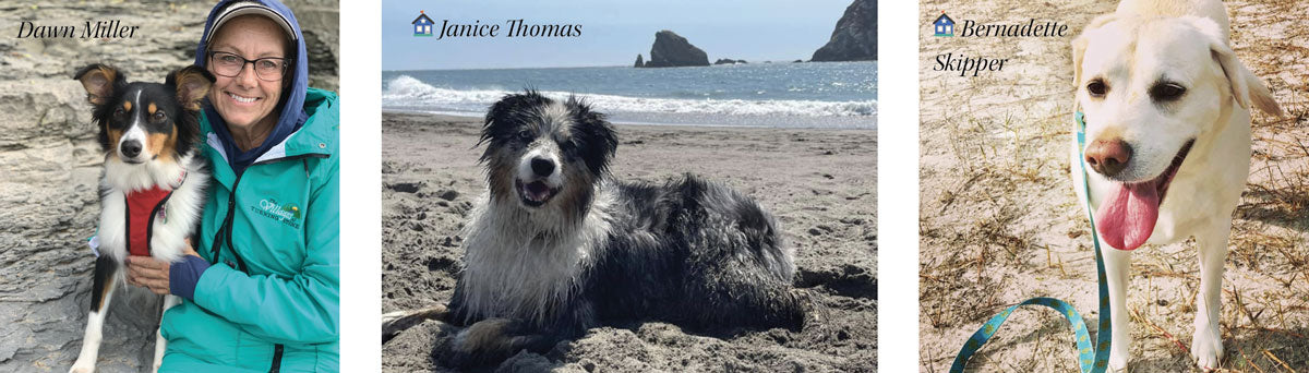 beachcombing with dogs