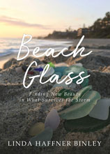 beach glass book