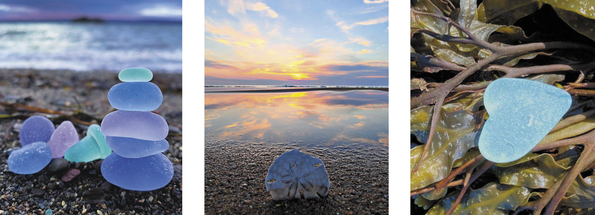 sea glass and sand dollar