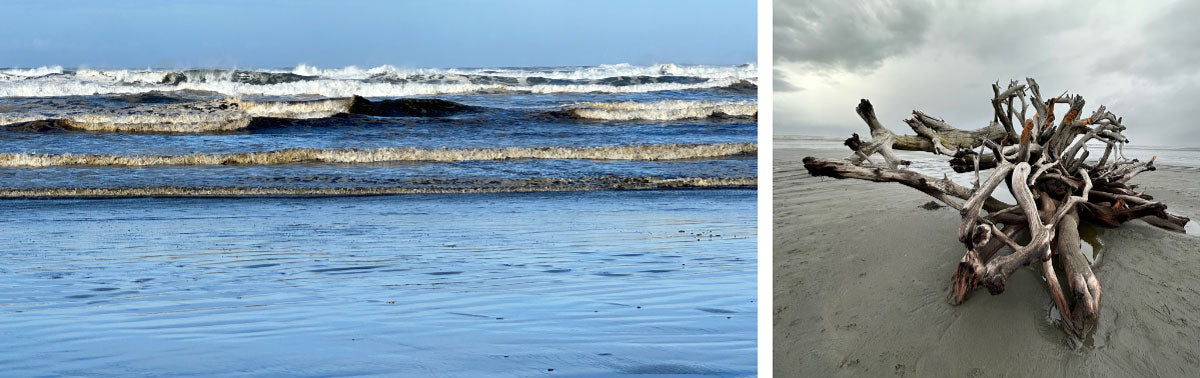 waves and driftwood in ocean shores washington