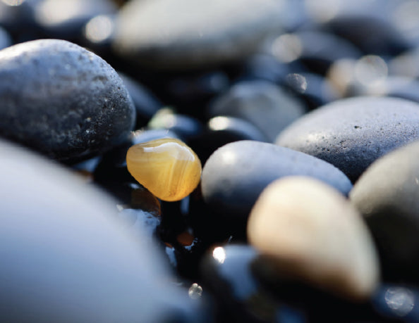 orange agate along the oregon coast