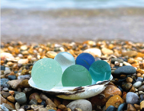 seashell filled with lake michigan marbles