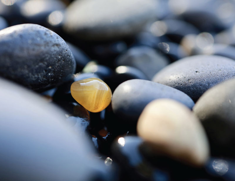 oregon coast agate photo contest finalist