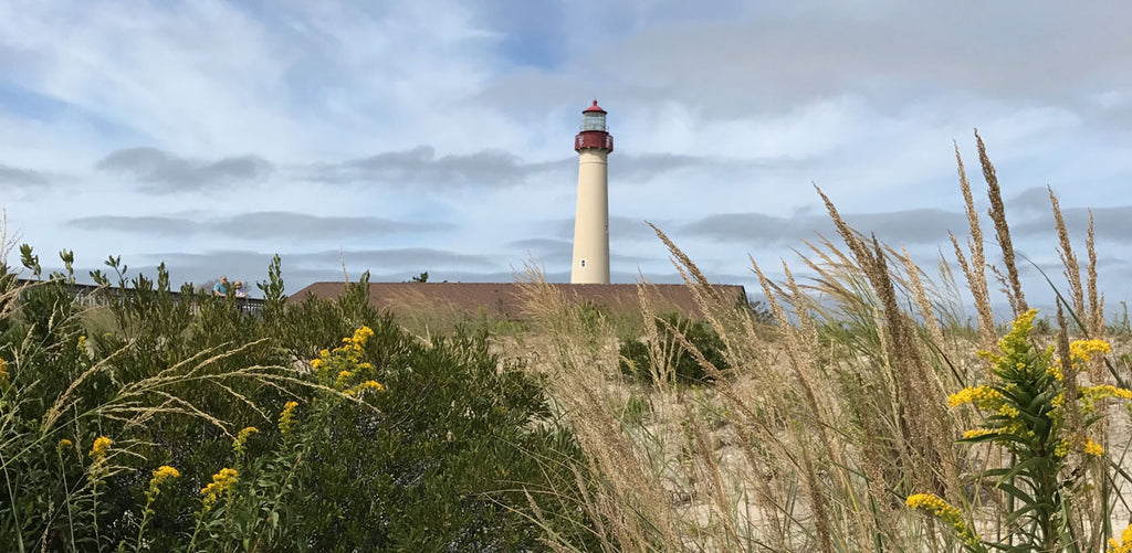 new jersey cape may lighthouse