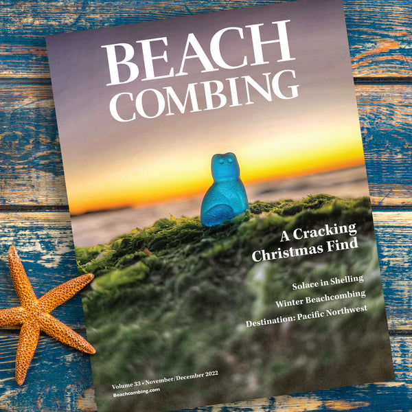 beachcombing volume 33 with cat charm