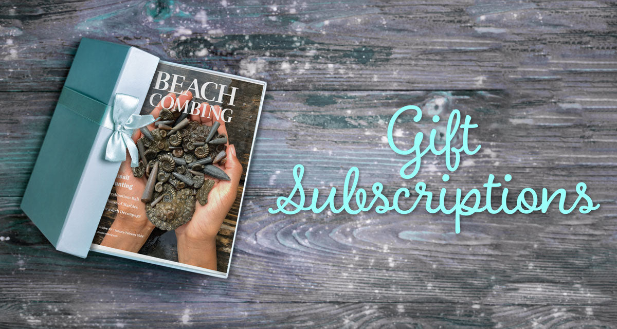 give a magazine subscription as a gift