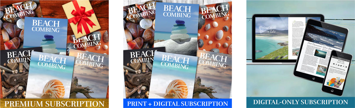 magazine for beach lovers