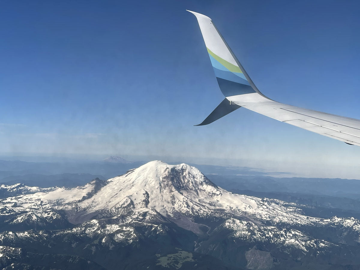 view of washington from the plane