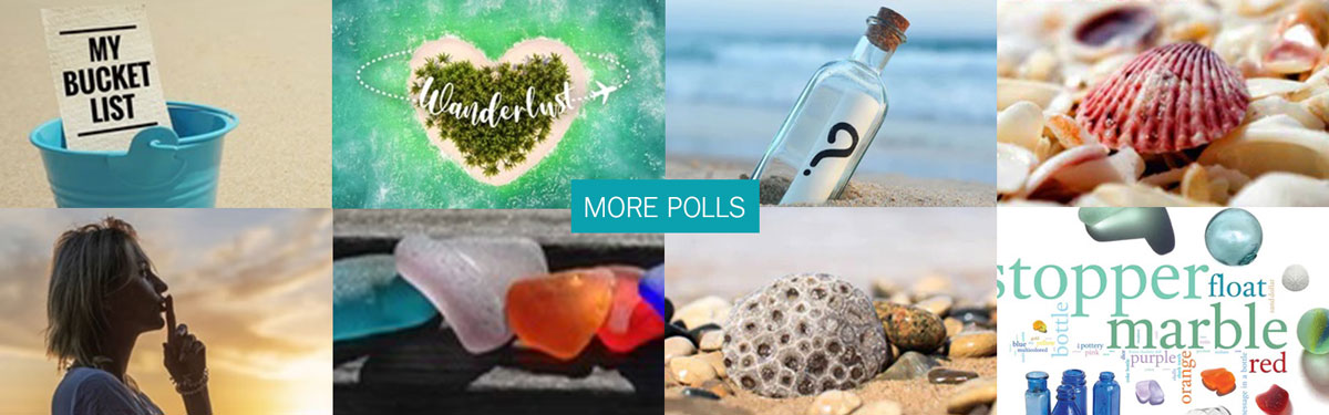 polls and surveys for beachcombers