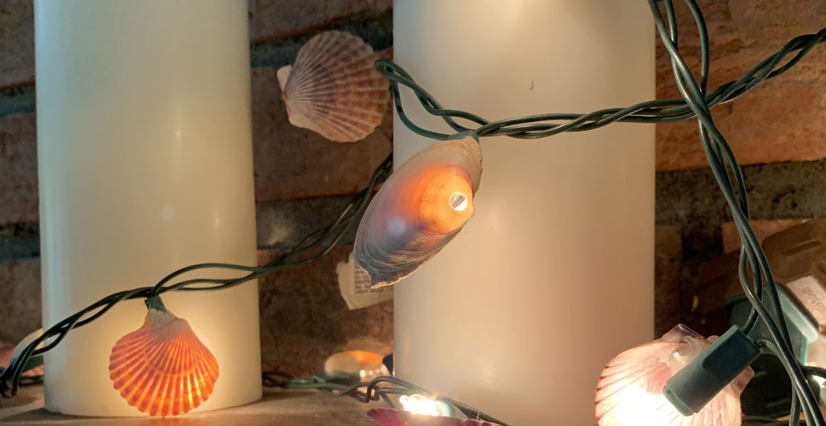 seashell string lights
