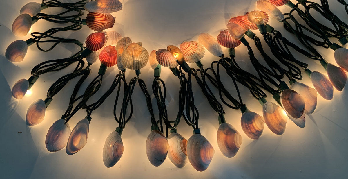 string lights with seashells in colors