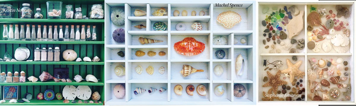 shelf and tray ideas for beachcombing finds