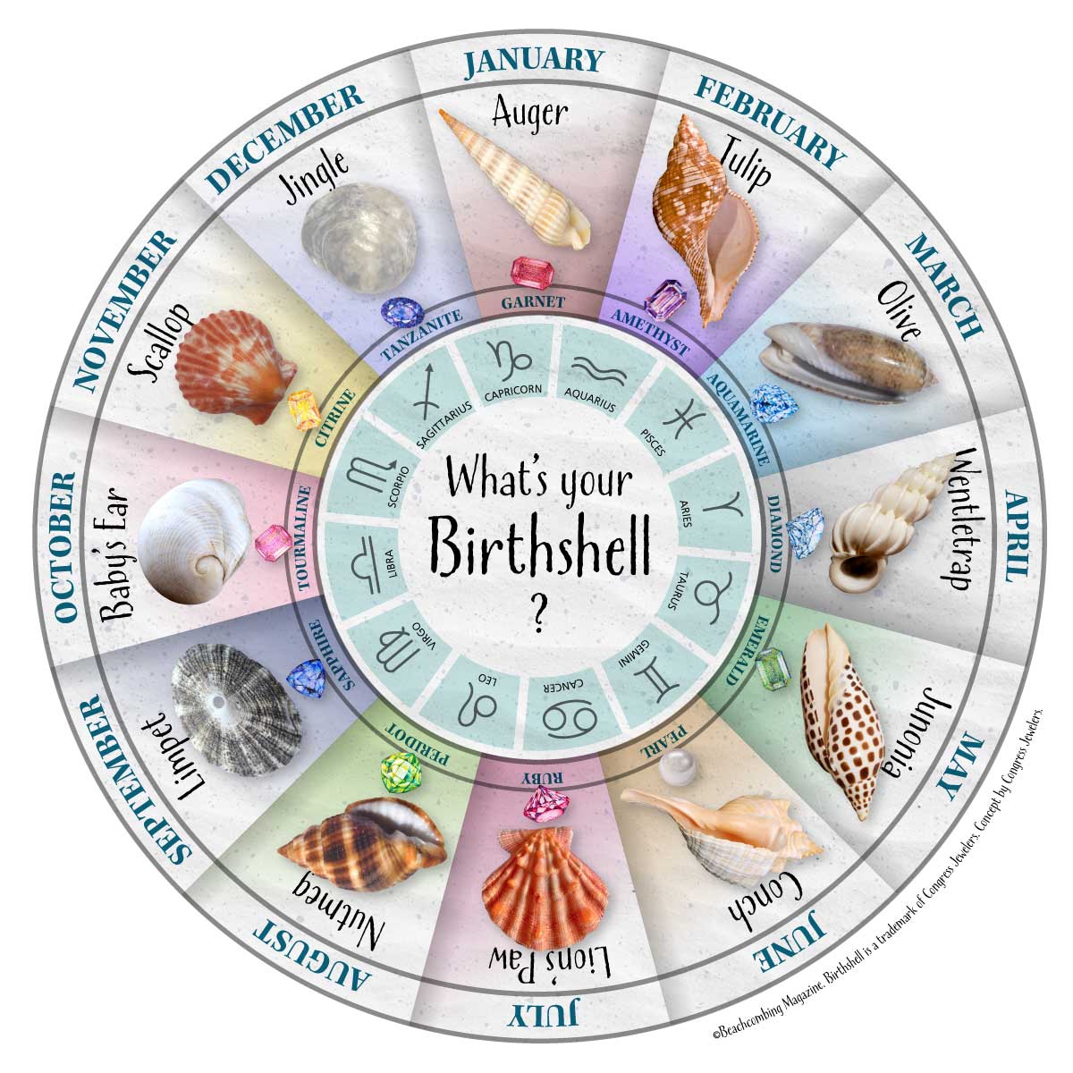 what is your birth shell seashell by month