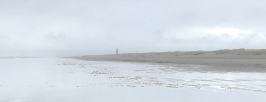 washington state beachcombing