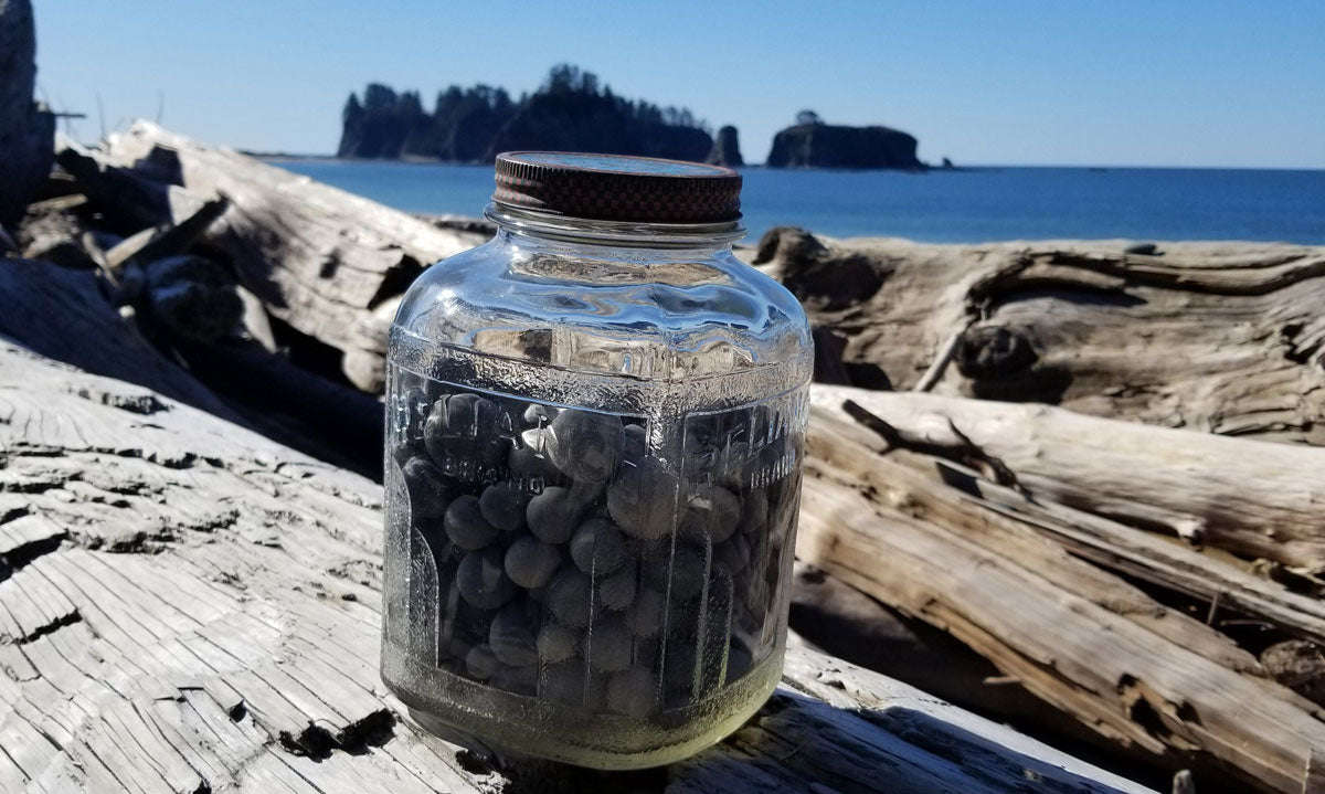 concretions found by washington beachcomber