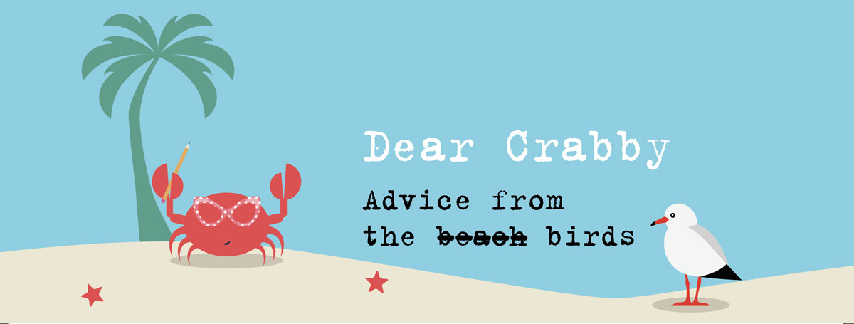 advice for beachcombers